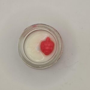 Cherry Dream Mini Illatgyetya A